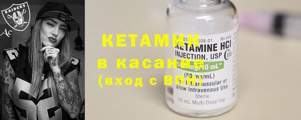 крисы Алзамай