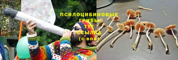 прущий лед Алексин