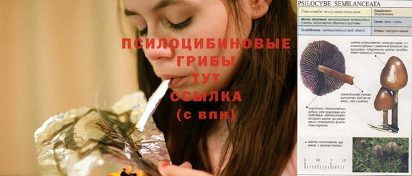 крисы Алзамай