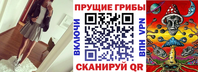 Псилоцибиновые грибы GOLDEN TEACHER  Люберцы 